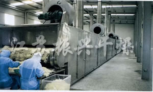 DWC係列脫水蔬菜帶式幹燥機（jī）