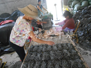 帶（dài）式幹燥機（jī）