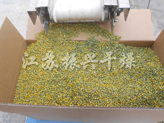 帶式（shì）幹燥機