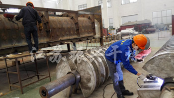 槳葉幹（gàn）燥機（jī）